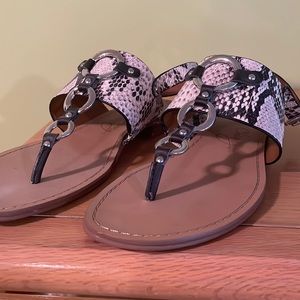 Arturo Chiang Snake Skin Sandals